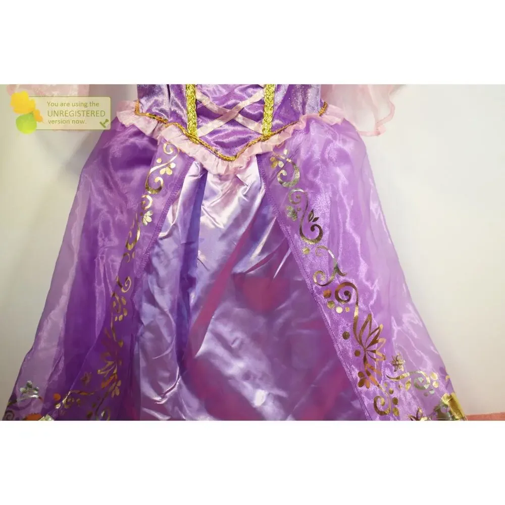 Jakks Disney Princess Rapunzel Girls Costumer Dress 4-6x